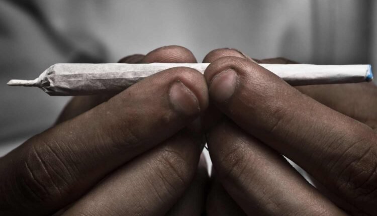 Ganja menace Old City: Bandlaguda police seize 2 kg