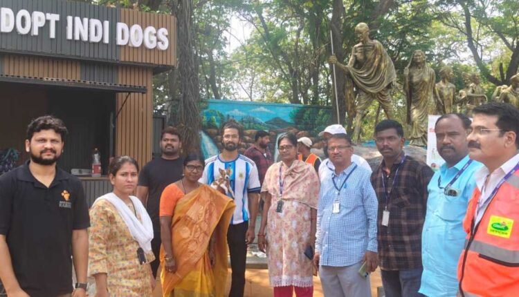 Indie dog adoption drive sees 27 adoptions in GHMC